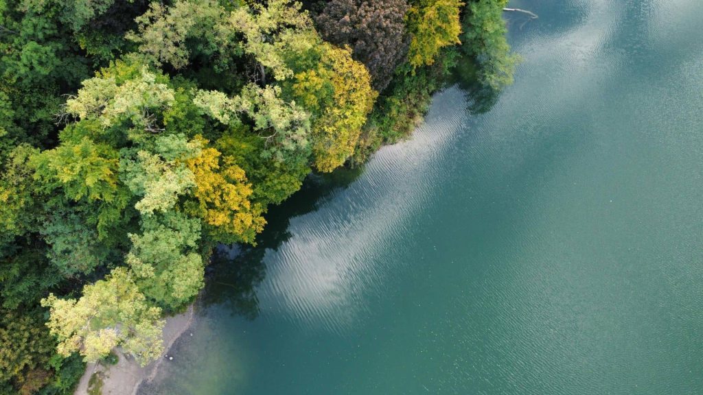 Jezioro szmaragdowe w Szczecinie